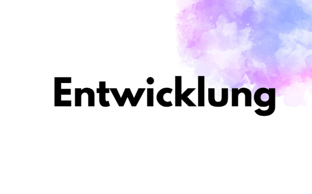 Webdesigner Leistung Programmierung